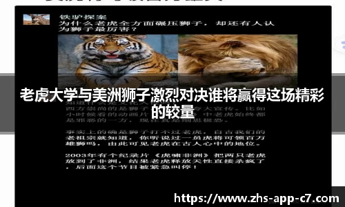 c7娱乐